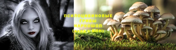 герыч Абаза