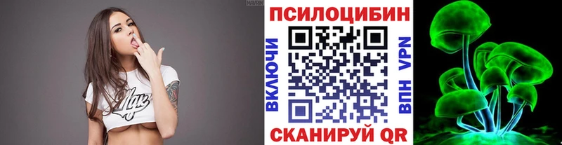 Псилоцибиновые грибы Cubensis  Невельск 